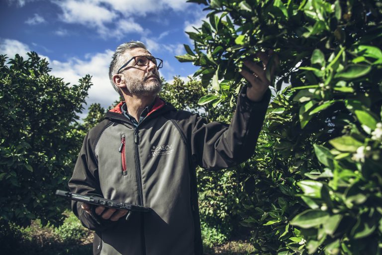 CAECV-MEDFEL-PERPIÑAN