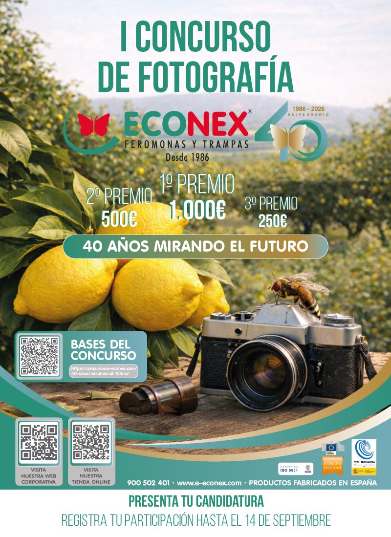 CONCURSO FOTOGRAFÍA ECONEX
