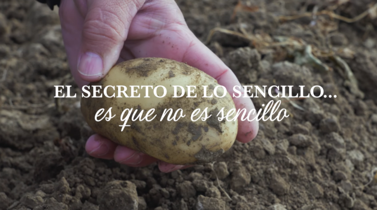 somos-hijolusa-campaña