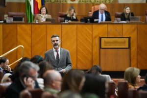 El consejero durante su intervención en el Parlamento (1)