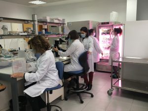 crispr ivia biovegen