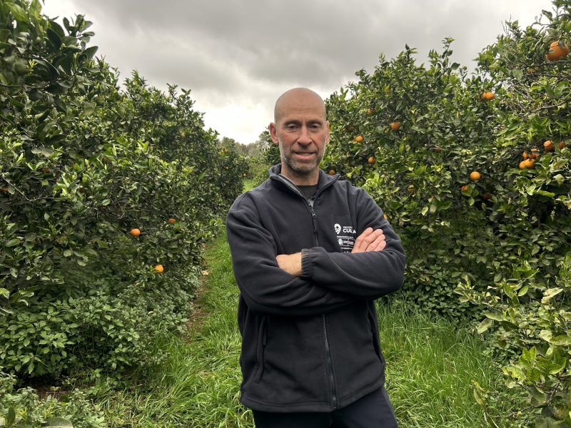 Huerto Sinisterra-VALENCIA