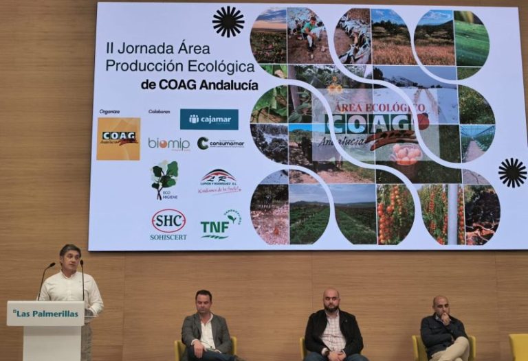 Jornada ECO 11