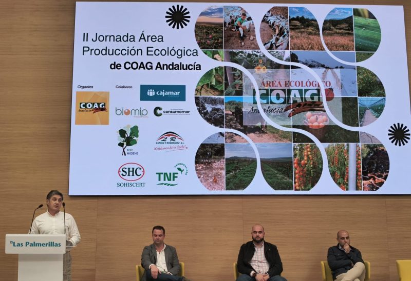 Jornada ECO 11