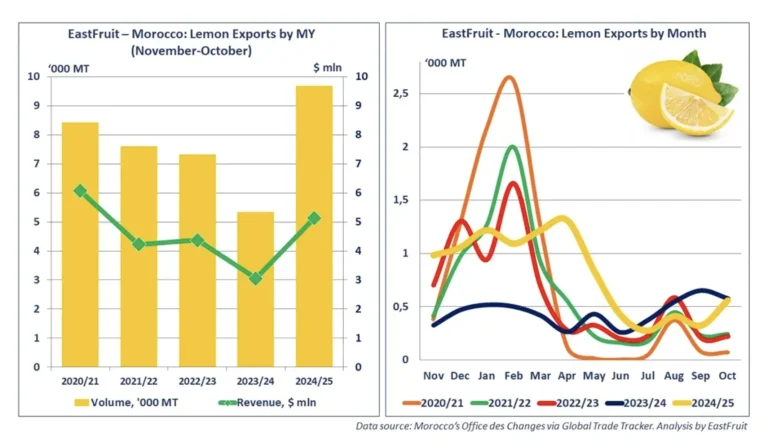 Marruecos-lemon