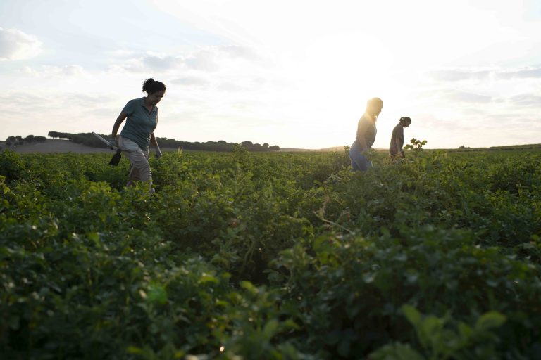 Ndp Patatas Meléndez impulsa el liderazgo femenino rural con una serie de foros en el Año Internacional de las Mujeres Agricultoras (1)