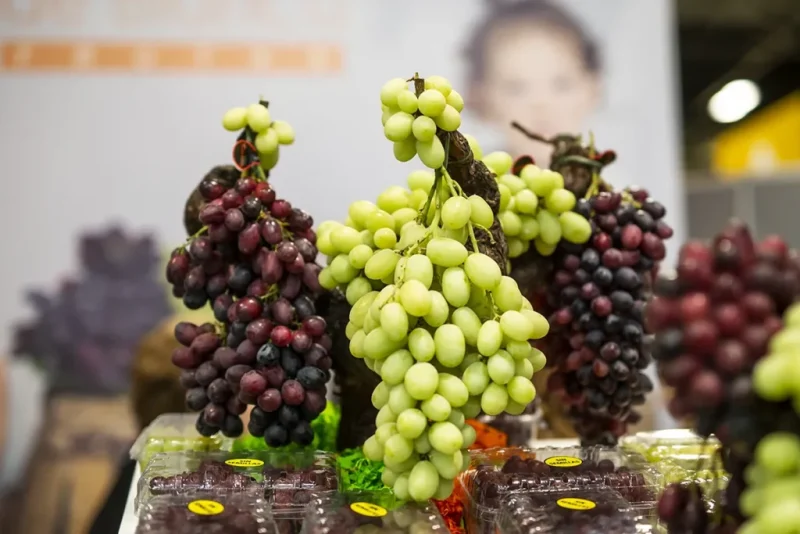 TABLE-GRAPES