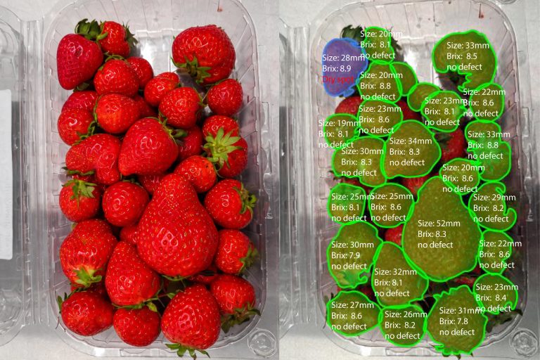 ONE-THIRD-NETHERLANDS