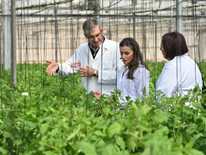 Reina Letizia Estación Experimental Las Palmerillas invernadero