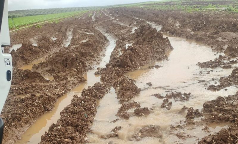 daños borrascas feb 2026_caminos