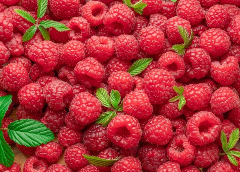 Fresh,Red,Ripe,Raspberries.,Raspberries,Background.