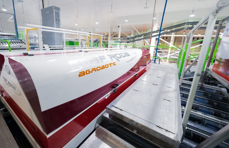 INTELIGENCIA-ARTIFICIAL-MAF-RODA