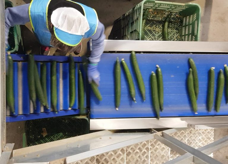 COEXPHAL-Convenio manipulación(2)