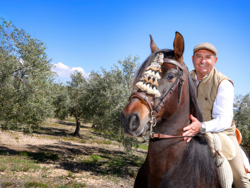 JOSE-NAVARRO-DE-HARO