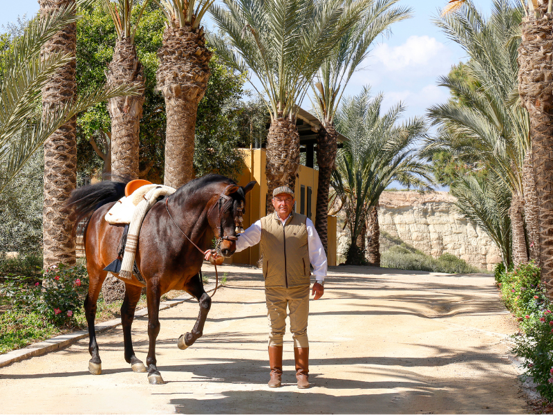 JOSE-NAVARRO-DE-HARO