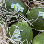 MACFRUT-2026