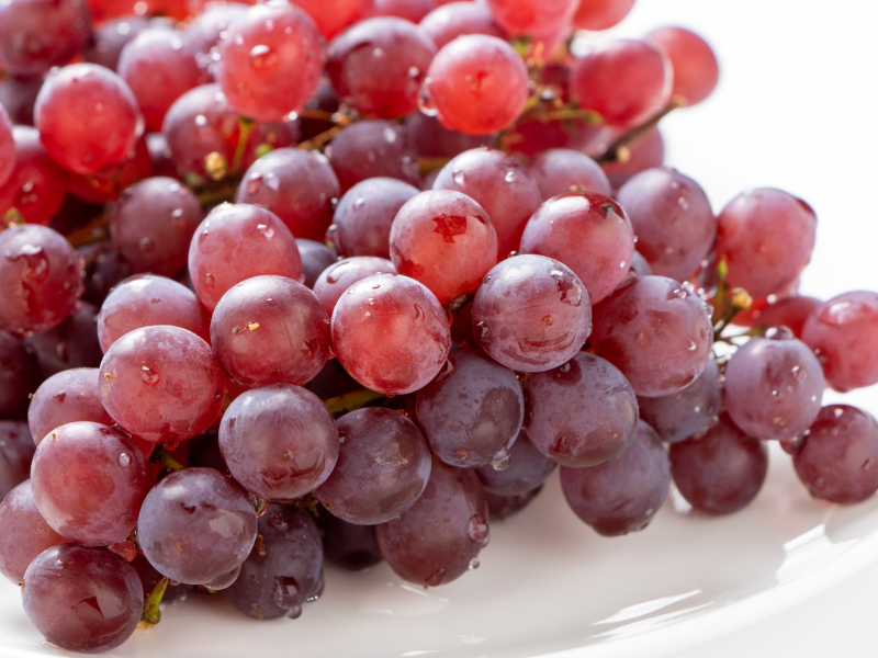 TABLE-GRAPE-CHILE