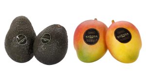 Aguacate y Mango_Exotica