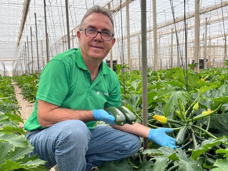 Calabacín Vamana HM.Clause jornada campo El Nazareno Níjar