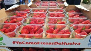YoComoFresasdeHuelva