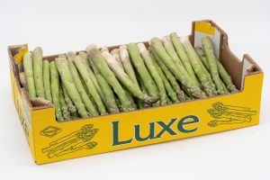 LOS-GALLOMBARES-ESPARRAGO