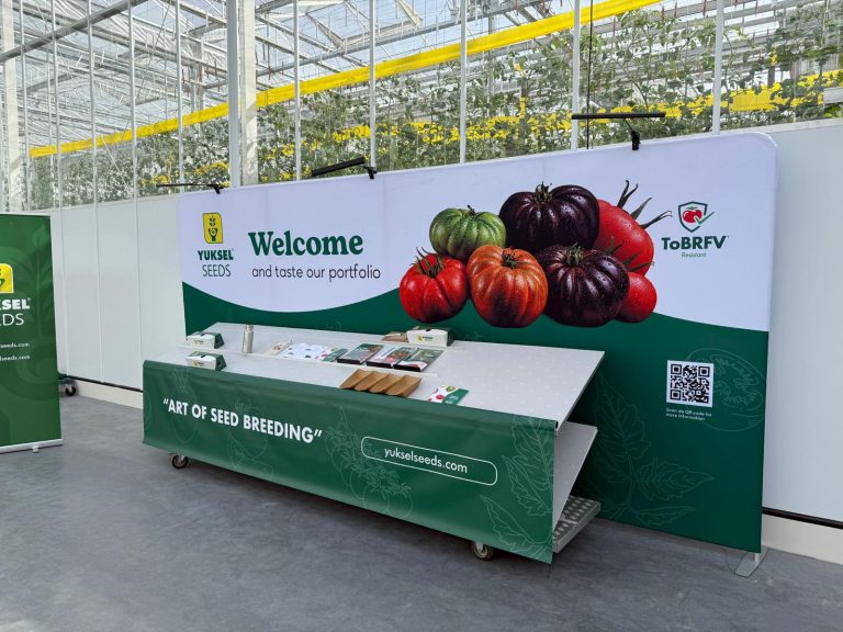 YUSKEL-SEEDS-SHOWCASE