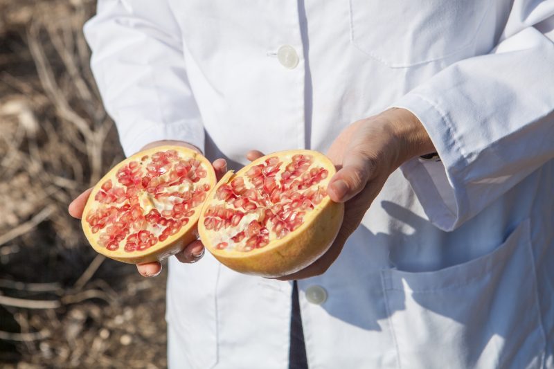 PROYECTO-GRAMOLA-GRANADA-MOLLAR