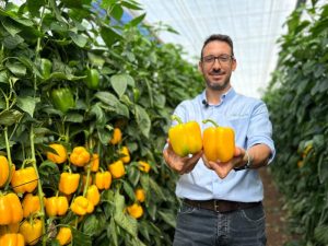 HMClause David González con pimiento california amarillo