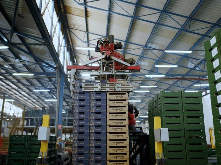 Interior instalaciones Agroponiente