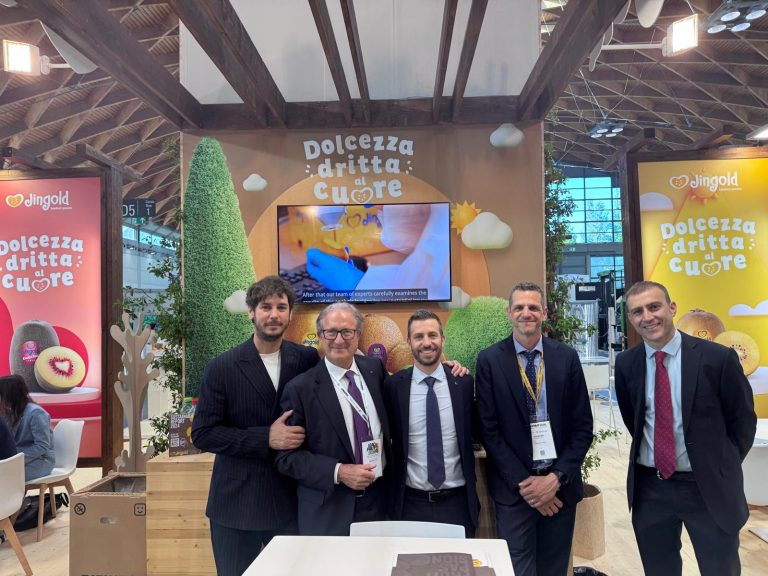 Jingold-management (1)