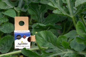 Sirficontrolb sandia