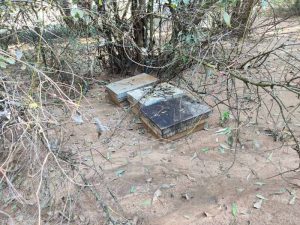 colmenas destrozadas por inundaciones
