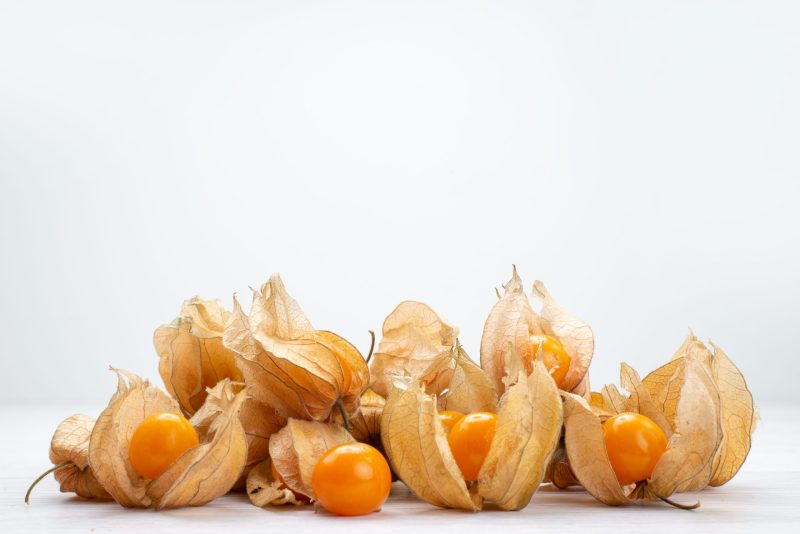 front-view-fresh-physalises-orange-colored-white