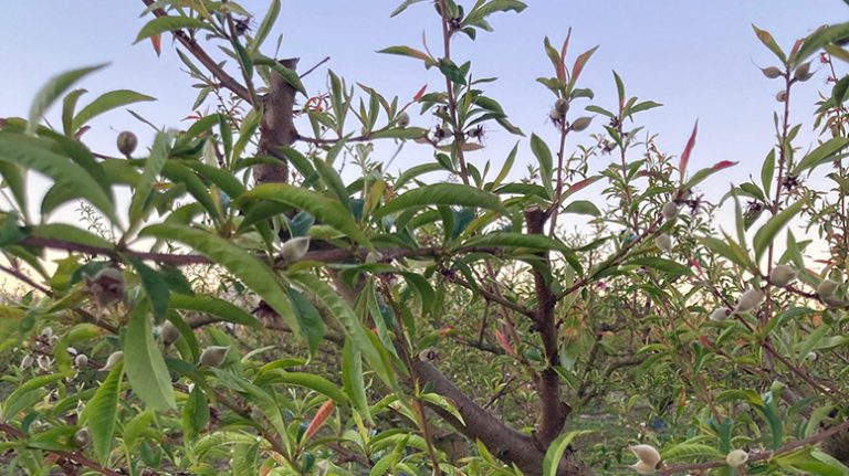 FRIO-COMUNIDAD-VALENCIANA