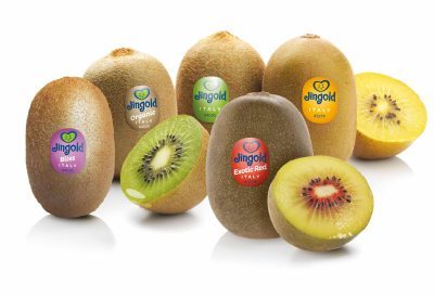 jingold-kiwi
