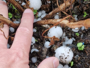 GRANIZO-LLEIDA