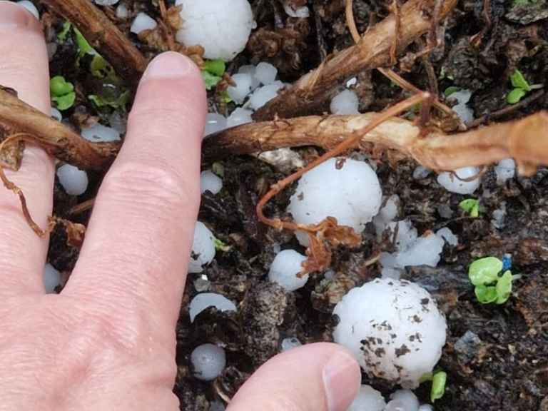 GRANIZO-LLEIDA