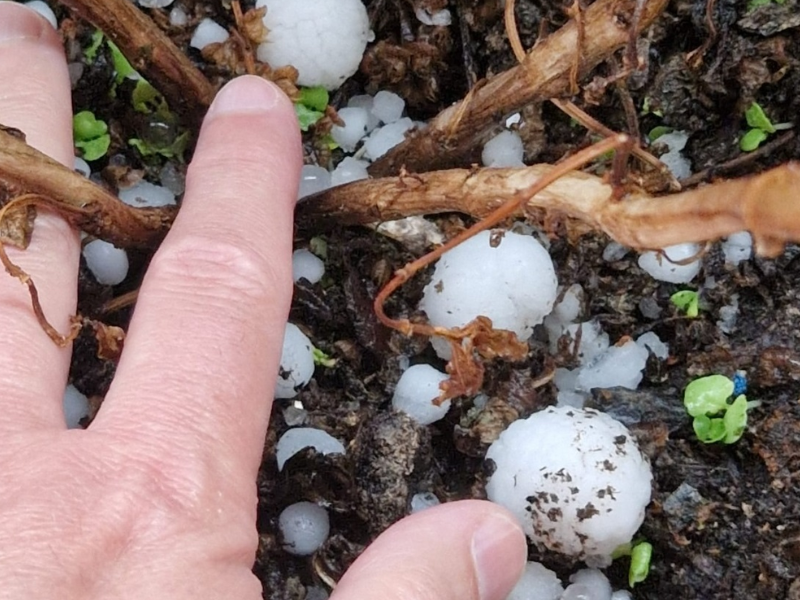 GRANIZO-LLEIDA