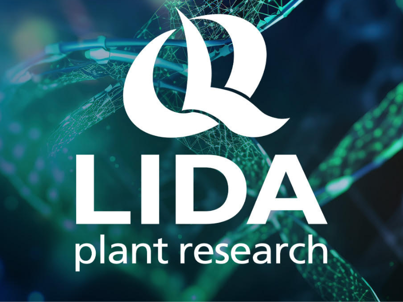 LIDA-PLANT-RESEARCH