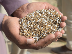 fertilizantes