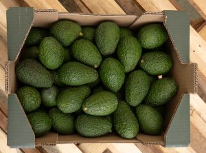 AGUACATE-MONTOSA