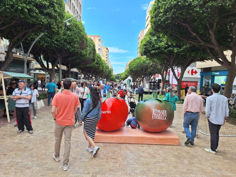 VRUTAL-ALMERÍA