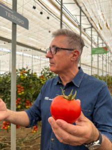 BASF Nunhems Demo Tomato Experience_tomate Fondón