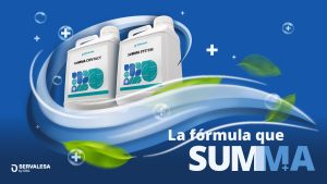 IMG_Nota de prensa_SUMMA