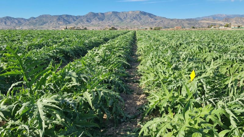 Jornada-tecnica-piloto-biodiversidad-VLC