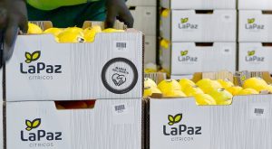 LaPaz Citricos_MarcaSolidaria_MuyPymes_01