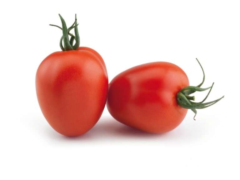Marcus F1 tomate pera Yuksel Seeds