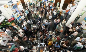 NetworkingCitrusForum