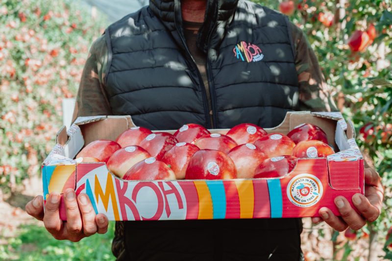 SamboaMondo-22