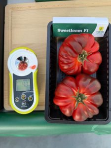 Tomate Sweetloom_Visita al YUKSEL EXPERIENCE SHOWCASE en Holanda